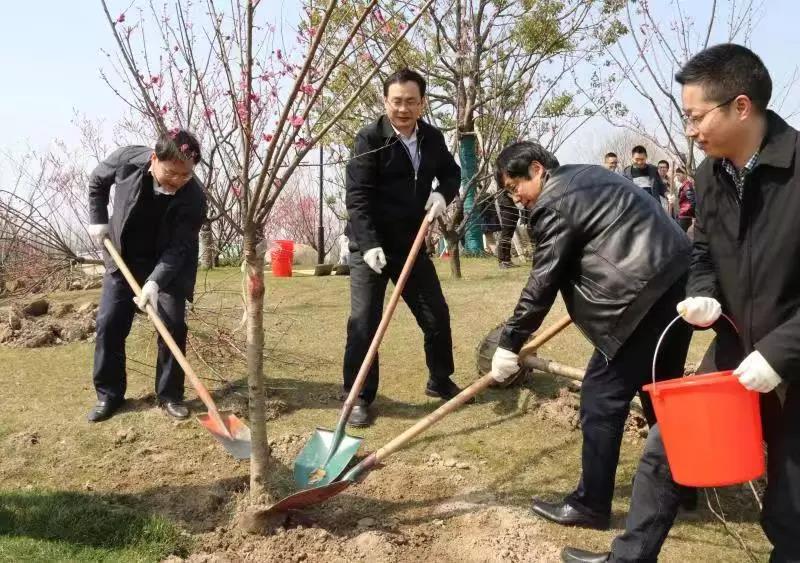 市國資委與通創(chuàng)投公司干部職工參加義務(wù)植樹活動