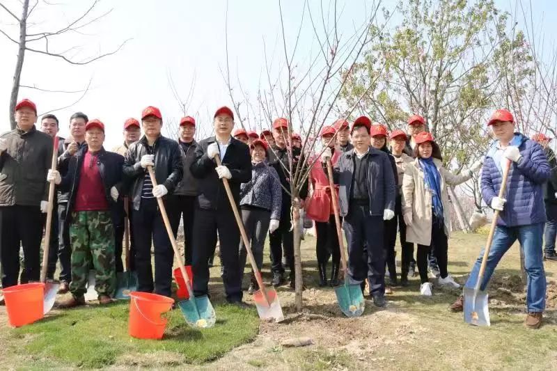 市國資委與通創(chuàng)投公司干部職工參加義務(wù)植樹活動